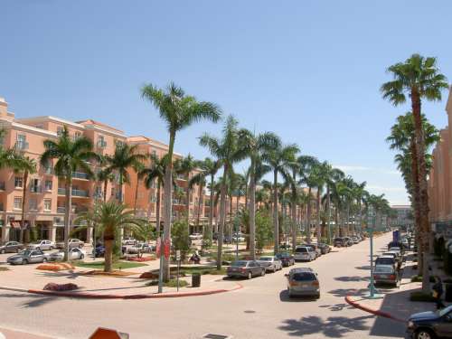 Mizner Park with palm trees in Boca Raton, Florida free photo