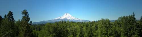 Mount Hood Rising beyond the forest in Oregon free photo