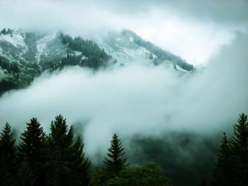 Mountain landscape with forest and clouds and fog in New Zealand free photo