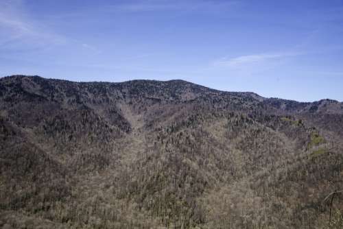 Mountaintops of the Appalachians in Great Smoky Mountains National Park, North Carolina free photo