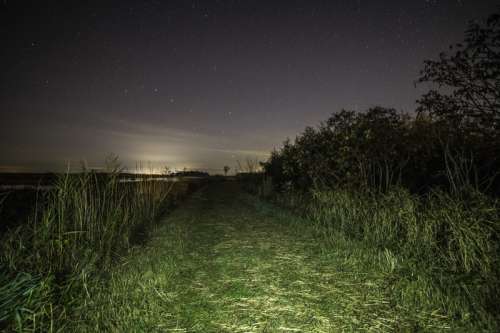 Night Time Hiking Trail with Starry Sky at Horicon Marsh free photo