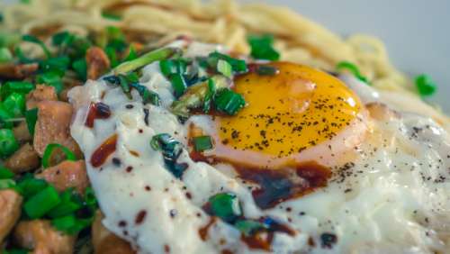 Omelet with green onions scattered on top free photo