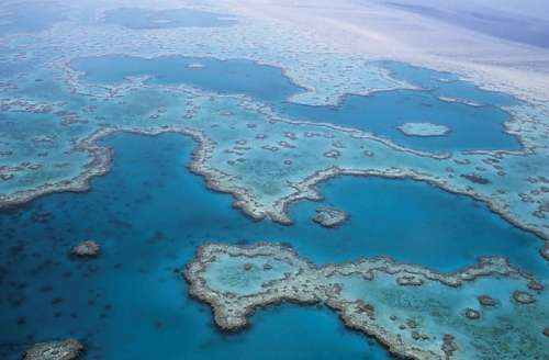 Overhead view of the great barrier reef, Queensland, Australia free photo