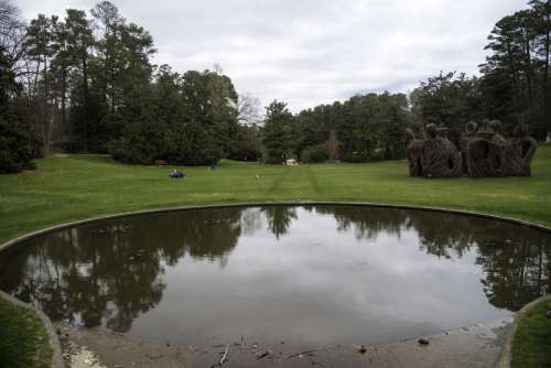 Overlooking the Pond and the Gardens at Duke University in Durham, North Carolina free photo