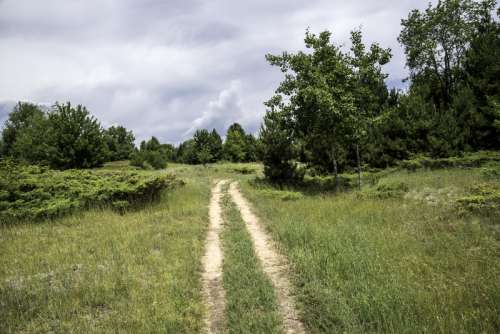 Path into the sand dunes at Whitefish Dunes State Park, Wisconsin free photo