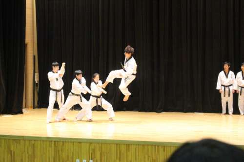 People performing Taekwondo on stage free photo