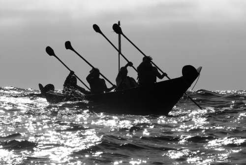 People rowing a canoe in Channel Islands National Park, California free photo