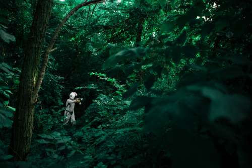 Person in suit in the forest in Nuns' Island, Montreal, Canada free photo