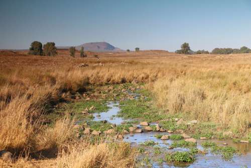 Plains and streams landscapes on Golan Heights in Israel free photo