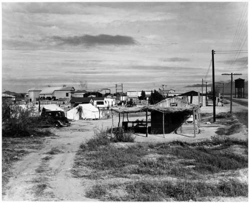 Private auto camp for cotton pickers in Buckeye, 1940 in Arizona free photo