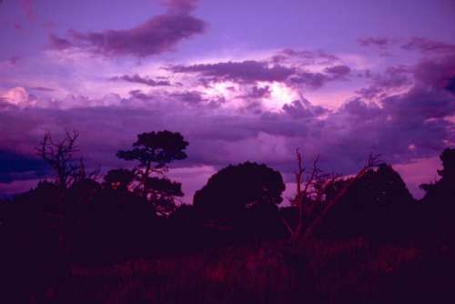 Purple Skies over Carlsbad Caverns National Park, New Mexico free photo