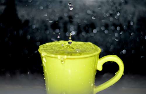 Raindrops falling in a cup free photo