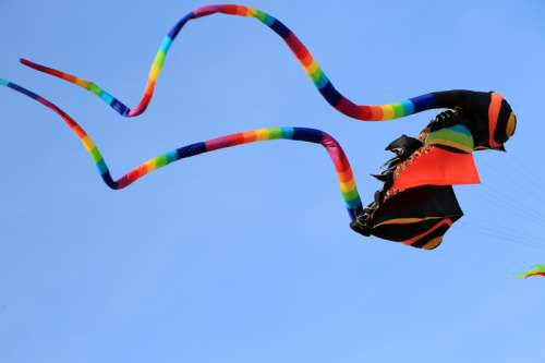 Ray Kite flying in the Sky free photo