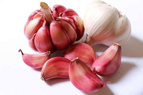 Red Garlic Cloves Food free photo