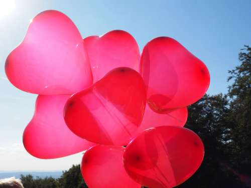Red Heart Balloons free photo