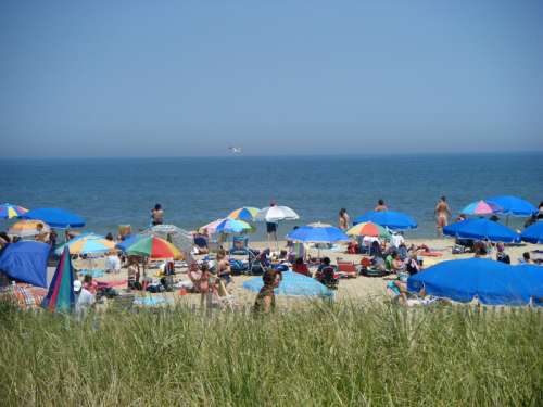 Rehoboth Beach in Delaware free photo
