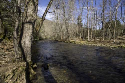 River landscape in Great Smoky Mountains National Park, North Carolina free photo