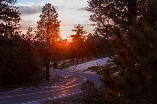 Roadway through the sunset at Bryce Canyon National Park, Utah free photo