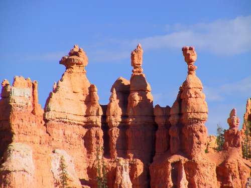 Rock formations at the top in Bryce Canyon National Park, Utah free photo