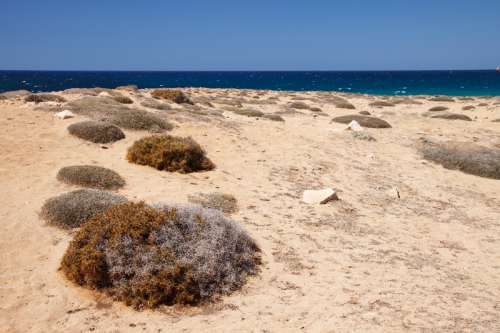 Sand and Beach Landscape in Cyprus free photo