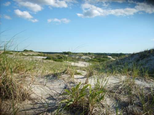 Sand Dunes at Cape Cod, Massachusetts free photo