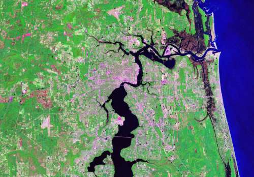 Satellite Image of Jacksonville, Florida free photo