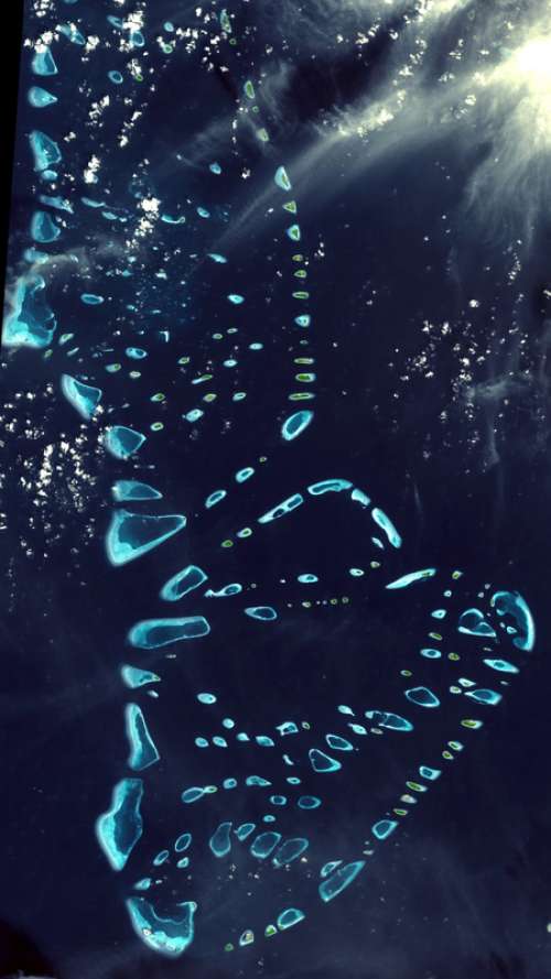 Satellite Image of the Maldives free photo