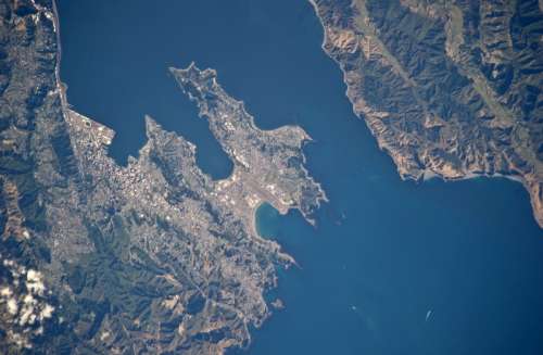 Satellite Image of Wellington, New Zealand free photo