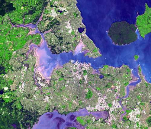 Satellite view of the Auckland isthmus and Waitemata Harbour, New Zealand free photo