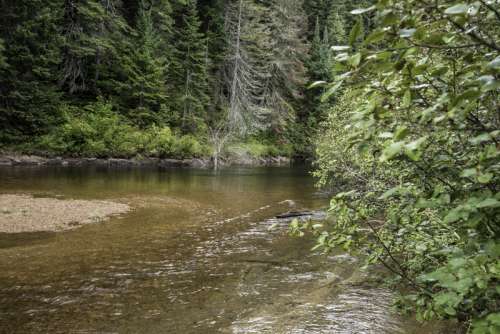 Scenic River at Algonquin Provincial Park, Ontario Canada free photo