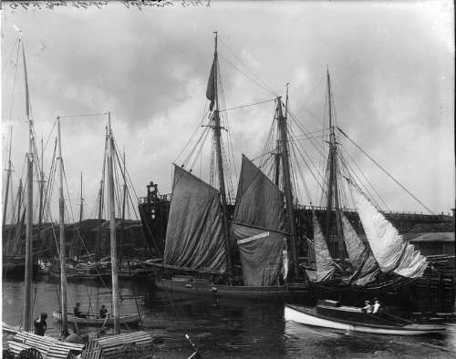 Schooners in Glace bay in 1914 in Nova Scotia free photo