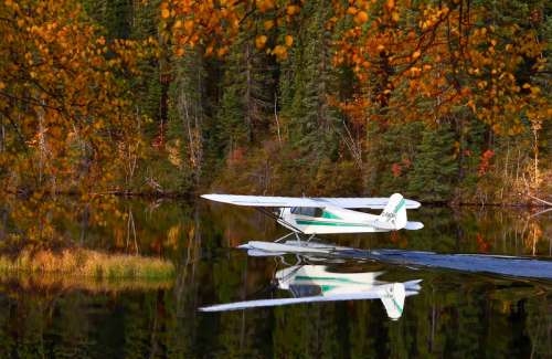 Seaplane landing on the lake in Quebec, Canada free photo
