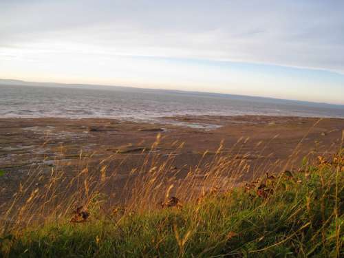 Seashore with grass and beach in Nova Scotia, Canada free photo