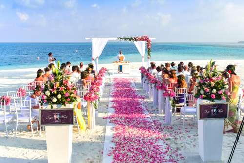 Seaside Wedding with rose walkway free photo