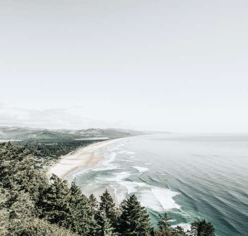 Shoreline landscape with beach and forest in Oregon free photo