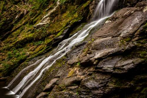 Smooth running water at Shenandoah National Park free photo