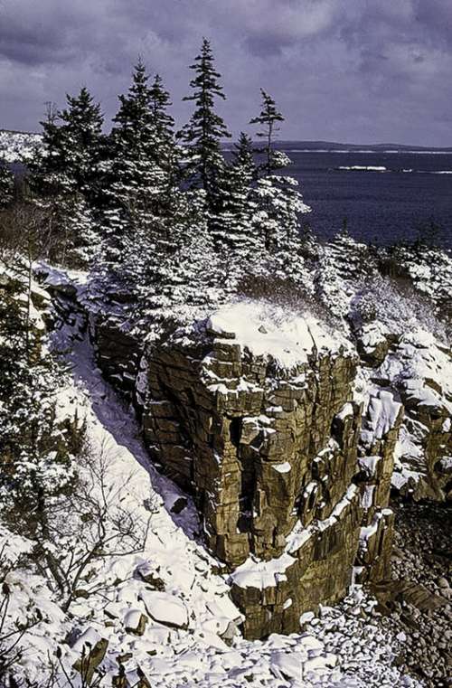 Snow and winter landscape in Acadia National Park, Maine free photo