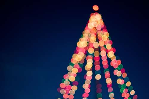 Sparkle of lights on a Christmas Tree free photo
