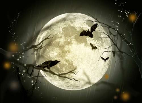 Spooky Halloween Illustration of Bats and Crow under the full moon free photo