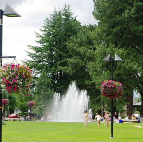 Spraying Water Fountain with trees and lawn in Beaverton, Oregon free photo