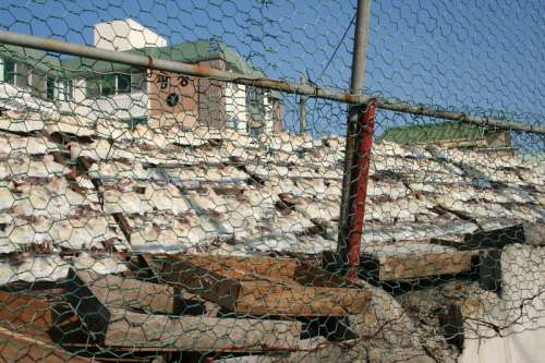 Squid out to dry Opposite the Chain Linked Fence in Mokpo, South Korea free photo