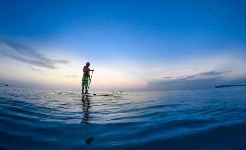 Stand up Paddler in the Ocean in Sri Lanka free photo