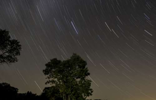 Star Trails Above the Trees at Blackhawk Lake, Wisconsin free photo