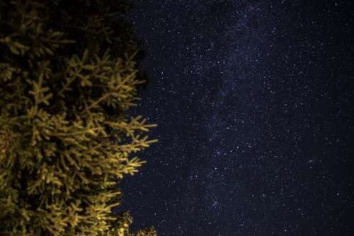 Stars and Galaxy at night in Algonquin Provincial Park, Ontario free photo