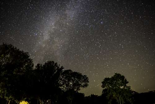 Stars and Milky Way above the trees at Blackhawk lake Recreation Area, Wisconsin free photo