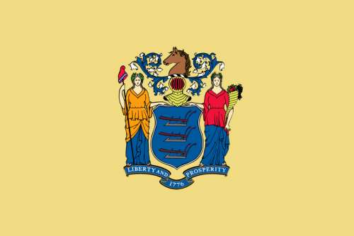 State flag of New Jersey free photo