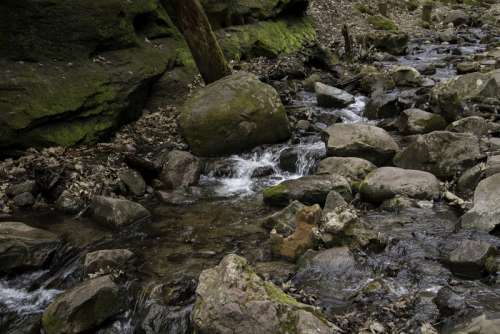 Stream Running Down the rocky creek at Parfrey's Glen, Wisconsin free photo