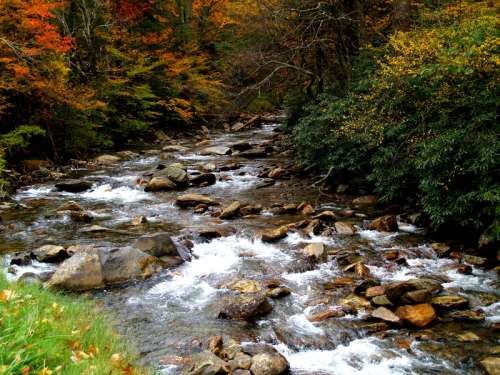 Streams and landscape in Great Smoky Mountains National Park, Tennessee free photo