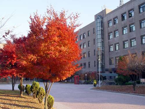 Sungkyunkwan University in Suwon, South Korea free photo
