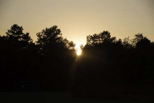 Sunset behind the Trees at J.W. Wells State Park, Michigan free photo